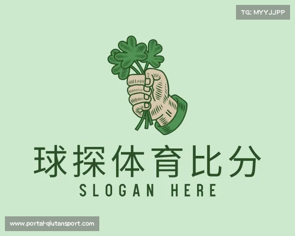 了解球探体育比分